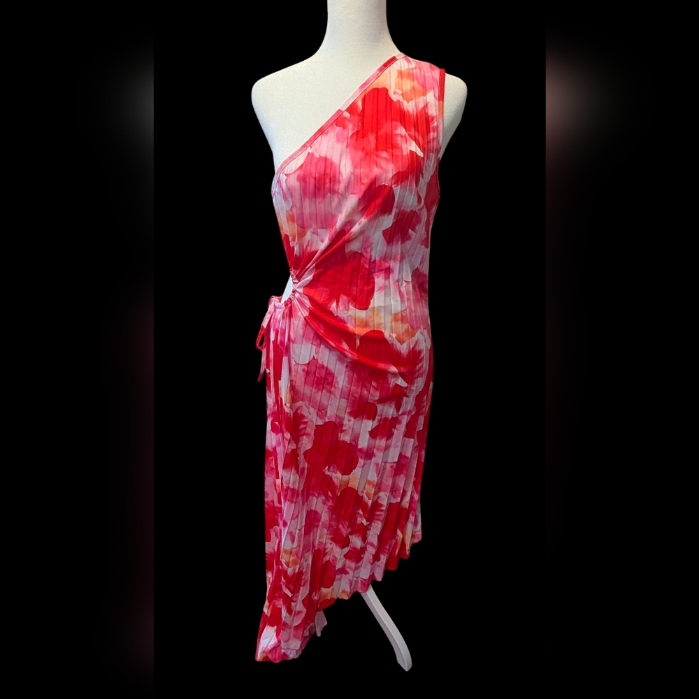 Red and Pink Floral Dress